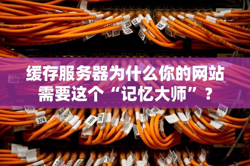 缓存服务器为什么你的网站需要这个“记忆大师”？