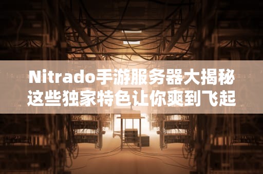 Nitrado手游服务器大揭秘这些独家特色让你爽到飞起！
