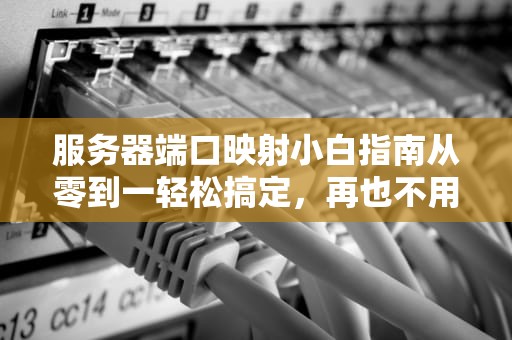 服务器端口映射小白指南从零到一轻松搞定，再也不用求人！