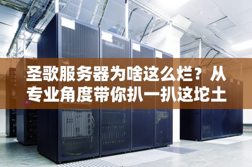 圣歌服务器为啥这么烂？从专业角度带你扒一扒这坨土豆服务器的真相！
