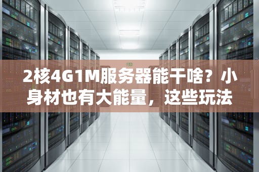 2核4G1M服务器能干啥？小身材也有大能量，这些玩法太香了！
