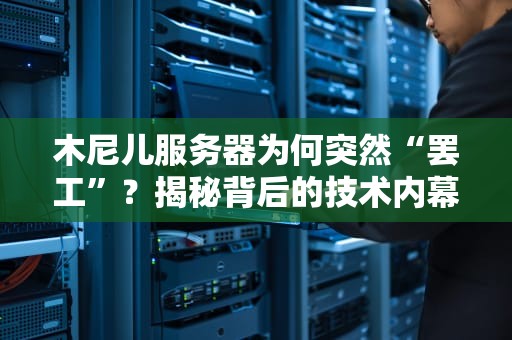 木尼儿服务器为何突然“罢工”？揭秘背后的技术内幕与行业启示