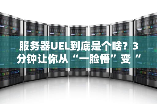 服务器UEL到底是个啥？3分钟让你从“一脸懵”变“老司机”！
