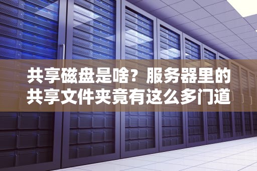 共享磁盘是啥？服务器里的共享文件夹竟有这么多门道！