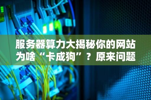 服务器算力大揭秘你的网站为啥“卡成狗”？原来问题出在这！