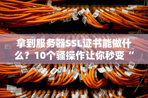 拿到服务器SSL证书能做什么？10个骚操作让你秒变“加密老司机”