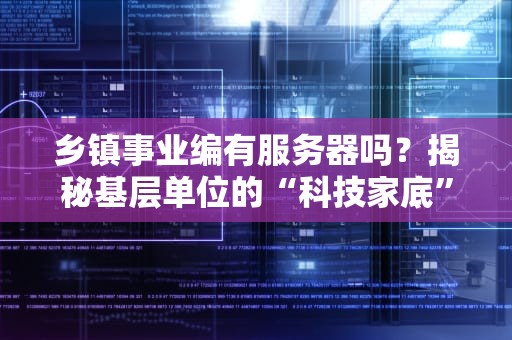 乡镇事业编有服务器吗？揭秘基层单位的“科技家底”！（附真实案例）