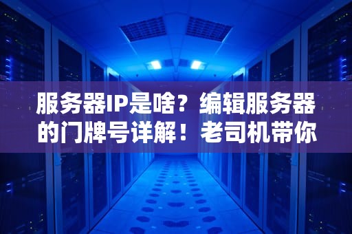 服务器IP是啥？编辑服务器的门牌号详解！老司机带你秒懂！