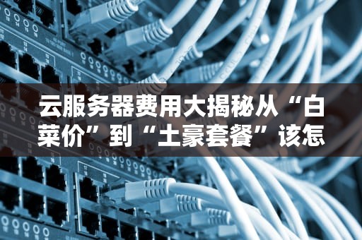 云服务器费用大揭秘从“白菜价”到“土豪套餐”该怎么选？
