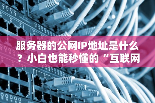 服务器的公网IP地址是什么？小白也能秒懂的“互联网门牌号”指南！