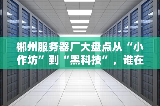 郴州服务器厂大盘点从“小作坊”到“黑科技”，谁在悄悄造“机”？