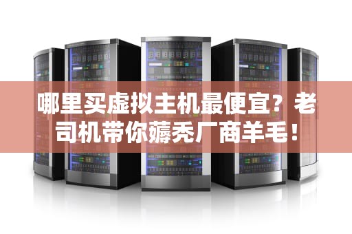 哪里买虚拟主机最便宜？老司机带你薅秃厂商羊毛！