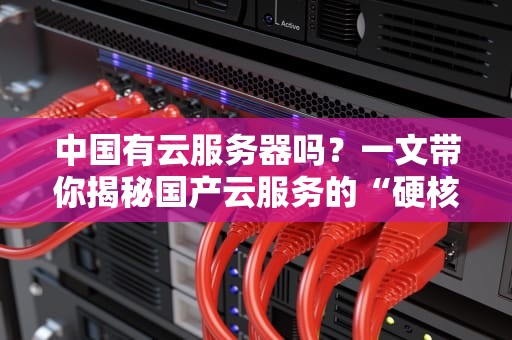 中国有云服务器吗？一文带你揭秘国产云服务的“硬核”实力！