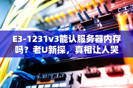E3-1231v3能认服务器内存吗？老U新探，真相让人哭笑不得！