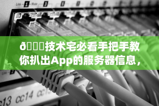 🔍技术宅必看手把手教你扒出App的服务器信息，连运维小哥都直呼内行！