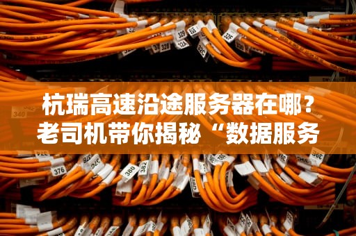 杭瑞高速沿途服务器在哪？老司机带你揭秘“数据服务区”的隐藏彩蛋！
