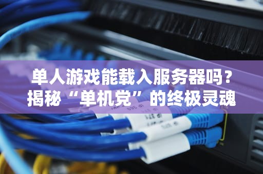 单人游戏能载入服务器吗？揭秘“单机党”的终极灵魂拷问！