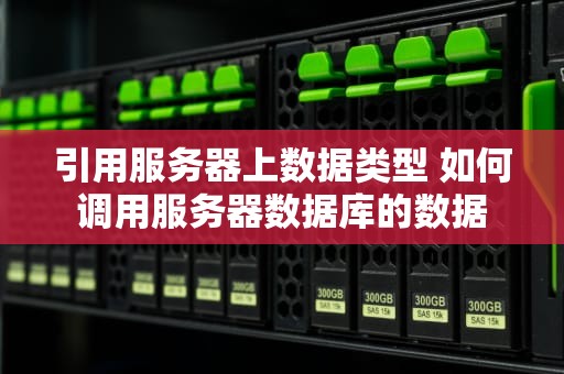 引用服务器上数据类型 如何调用服务器数据库的数据