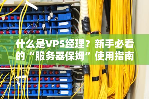 什么是VPS经理？新手必看的“服务器保姆”使用指南（附专业测评）