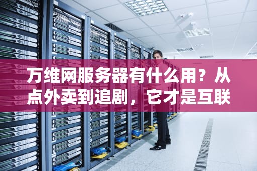 万维网服务器有什么用？从点外卖到追剧，它才是互联网的“隐形大佬”！
