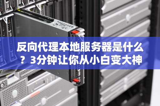 反向代理本地服务器是什么？3分钟让你从小白变大神！