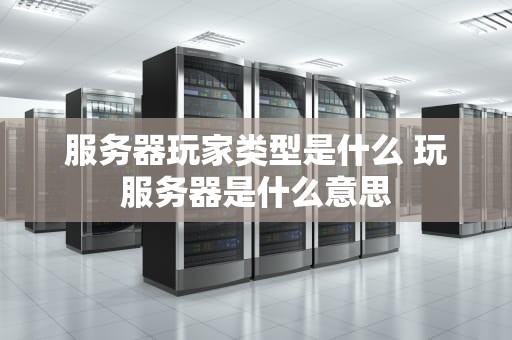 服务器玩家类型是什么 玩服务器是什么意思