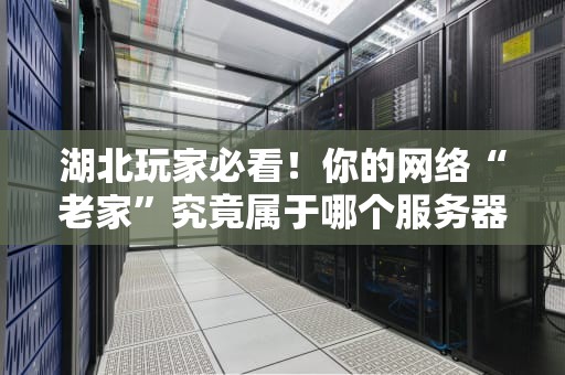 湖北玩家必看！你的网络“老家”究竟属于哪个服务器？