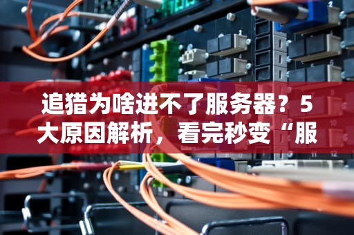 追猎为啥进不了服务器？5大原因解析，看完秒变“服务器侦探”！