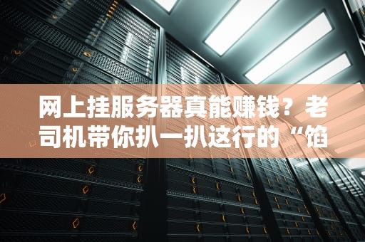 网上挂服务器真能赚钱？老司机带你扒一扒这行的“馅饼”与“陷阱”！