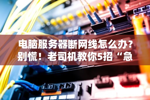 电脑服务器断网线怎么办？别慌！老司机教你5招“急救术”