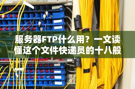 服务器FTP什么用？一文读懂这个文件快递员的十八般武艺！