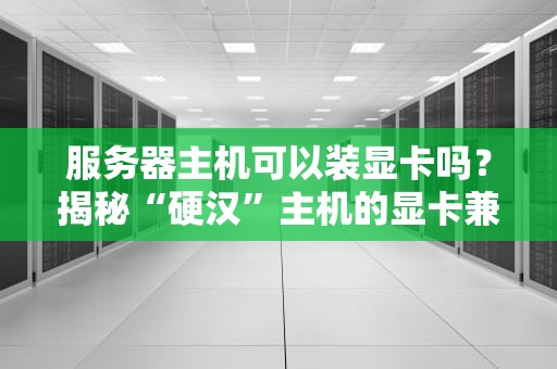 服务器主机可以装显卡吗？揭秘“硬汉”主机的显卡兼容指南！