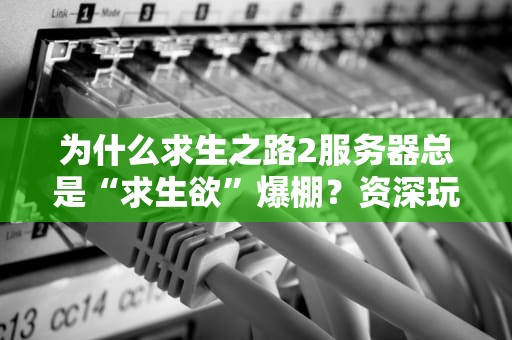 为什么求生之路2服务器总是“求生欲”爆棚？资深玩家带你一探究竟！