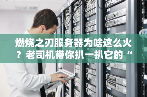 燃烧之刃服务器为啥这么火？老司机带你扒一扒它的“真香”定律！