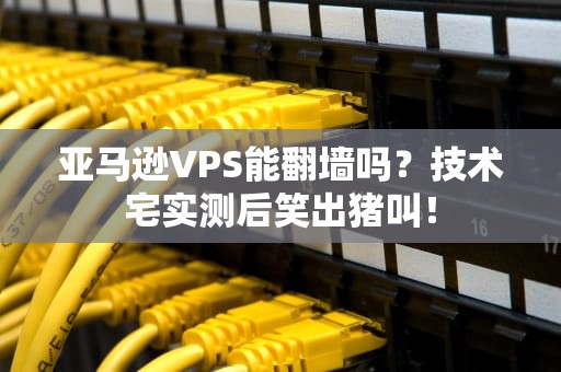 亚马逊VPS能翻墙吗？技术宅实测后笑出猪叫！