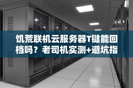 饥荒联机云服务器T键能回档吗？老司机实测+避坑指南！
