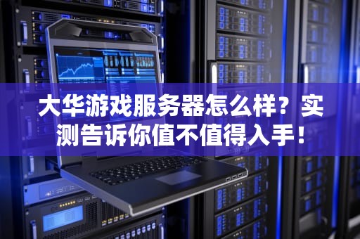 大华游戏服务器怎么样？实测告诉你值不值得入手！