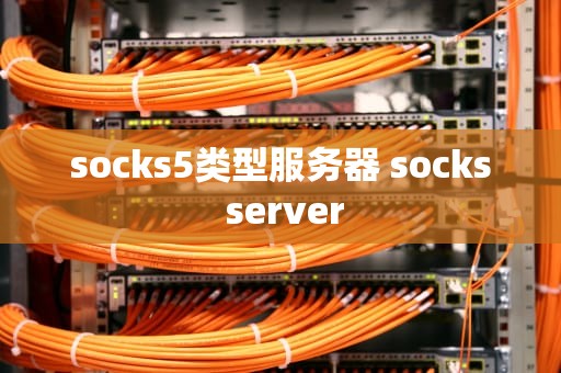 socks5类型服务器 socks server