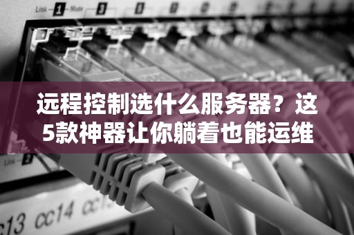 远程控制选什么服务器？这5款神器让你躺着也能运维！