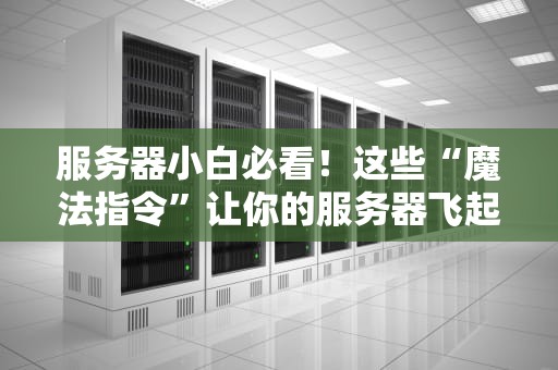 服务器小白必看！这些“魔法指令”让你的服务器飞起来~