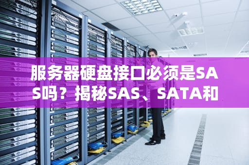 服务器硬盘接口必须是SAS吗？揭秘SAS、SATA和NVMe的“职场内卷”