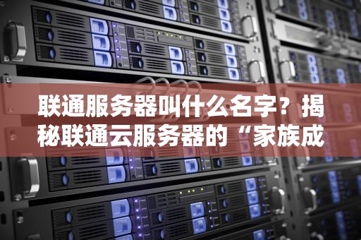 联通服务器叫什么名字？揭秘联通云服务器的“家族成员”与性能实测！