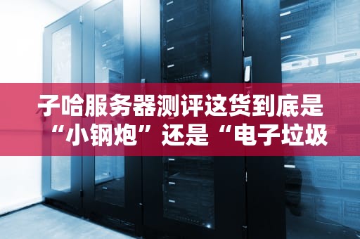 子哈服务器测评这货到底是“小钢炮”还是“电子垃圾”？