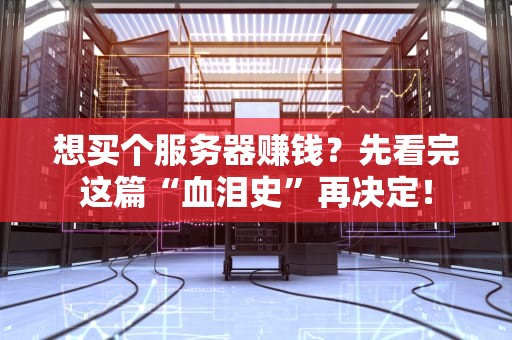 想买个服务器赚钱？先看完这篇“血泪史”再决定！