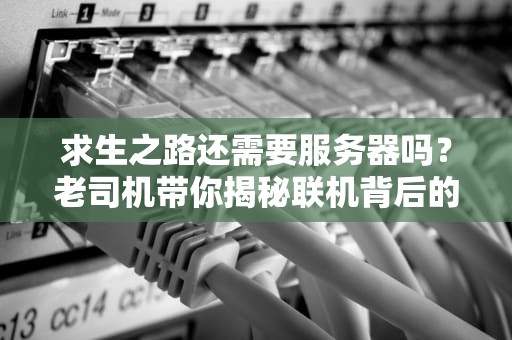 求生之路还需要服务器吗？老司机带你揭秘联机背后的技术玄机！