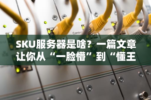 SKU服务器是啥？一篇文章让你从“一脸懵”到“懂王附体”！