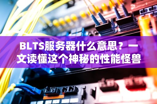 BLTS服务器什么意思？一文读懂这个神秘的性能怪兽！