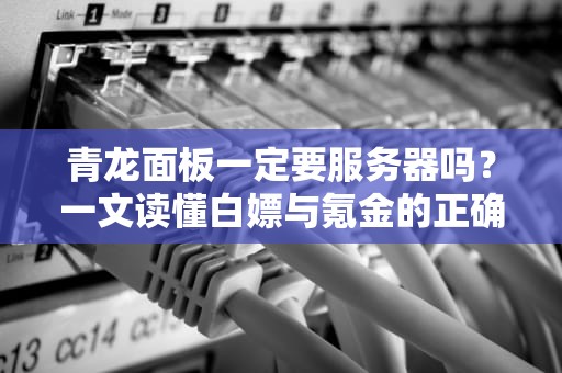 青龙面板一定要服务器吗？一文读懂白嫖与氪金的正确姿势！