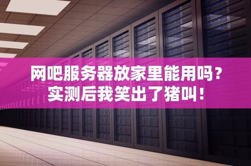 网吧服务器放家里能用吗？实测后我笑出了猪叫！