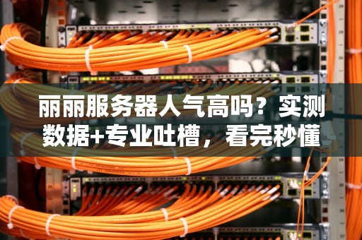 丽丽服务器人气高吗？实测数据+专业吐槽，看完秒懂！